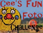 Cees Fun Photo Challenge
